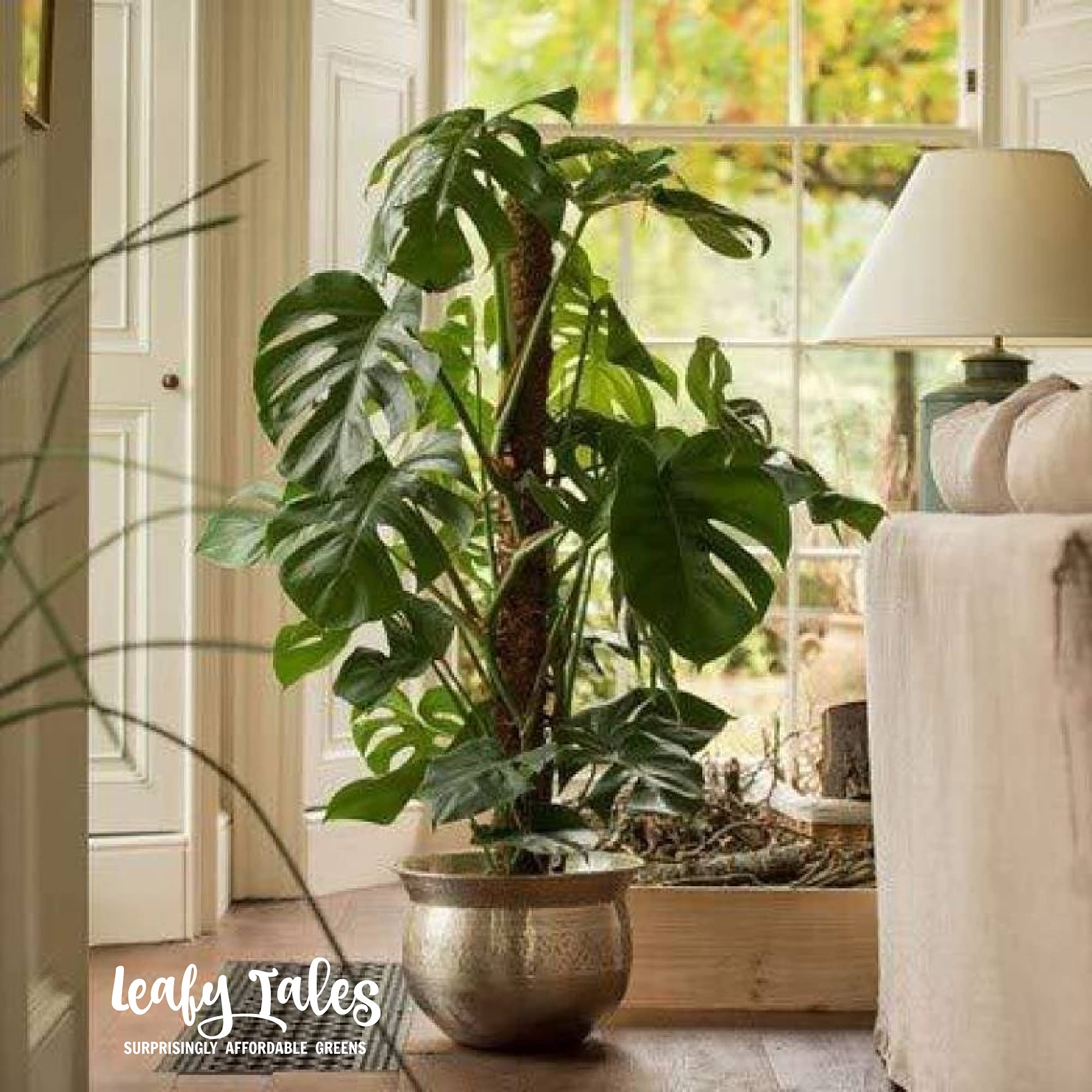 Leafy Tales Moss Stick- Green Grass Pole for Plants Support, Moss